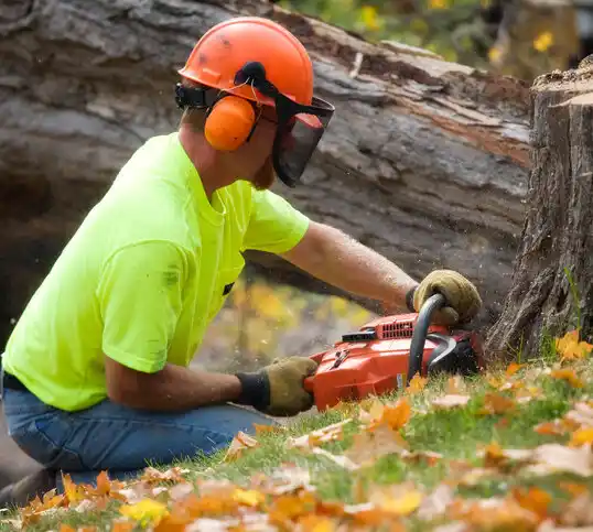 tree services Huntington Station